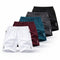 The 5-Pack Performance Short