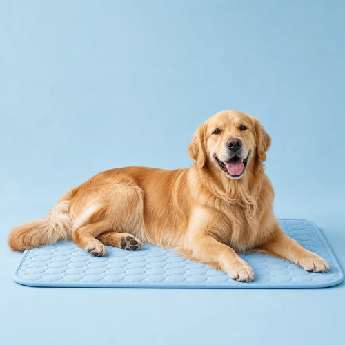 Auren ChillMat™ Cooling Dog Mat