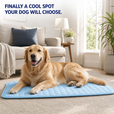 Auren ChillMat cooling mat in bright living room