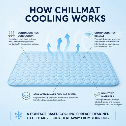 Auren ChillMat™ Cooling Dog Mat